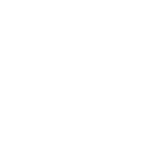 Visual Insights