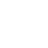 Automated Audits